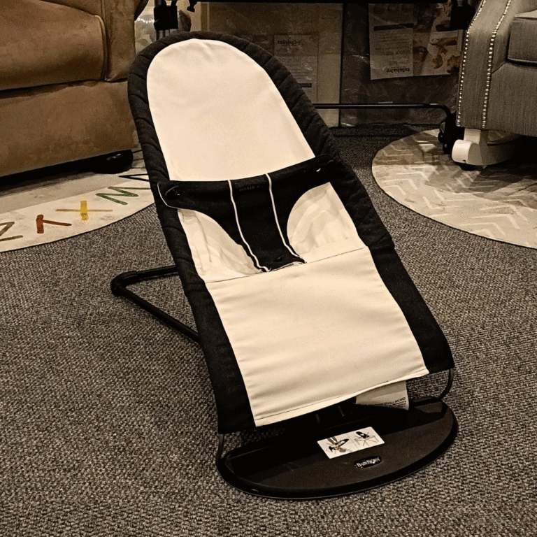 Baby Bjorn Bouncer