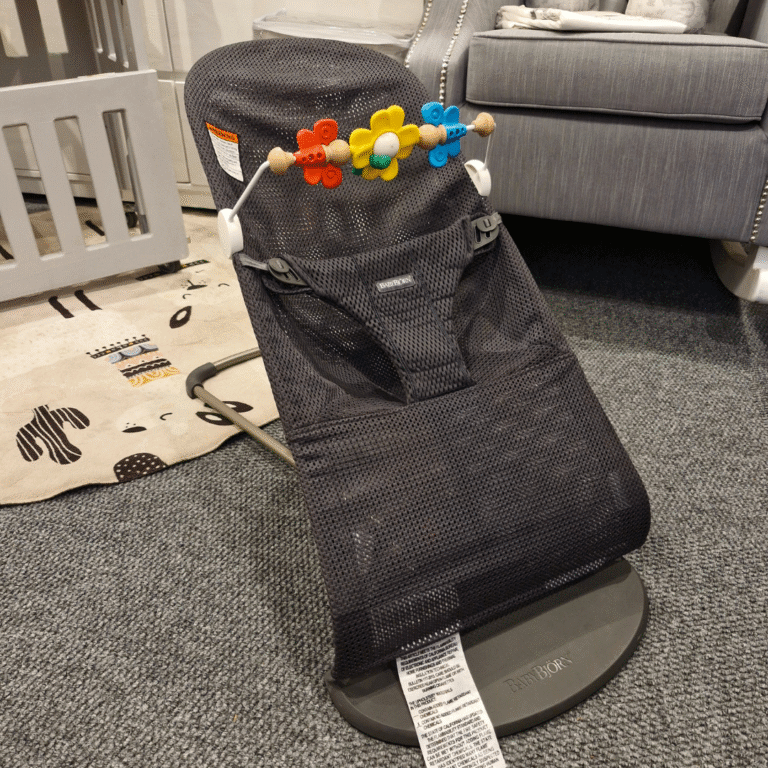 Baby Bjorn Bouncer