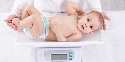 Rent Daily Digital Baby Scales 2