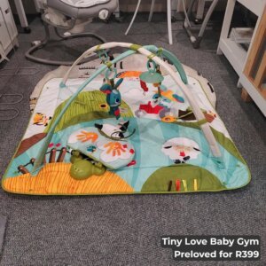Tiny Love Baby Gym