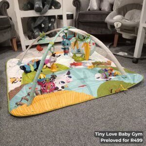 Tiny Love Baby Gym