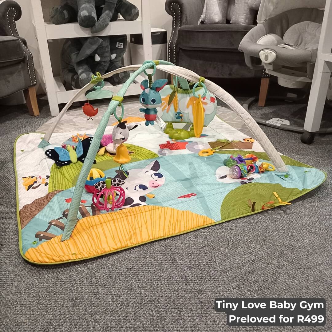 Tiny Love Baby Gym