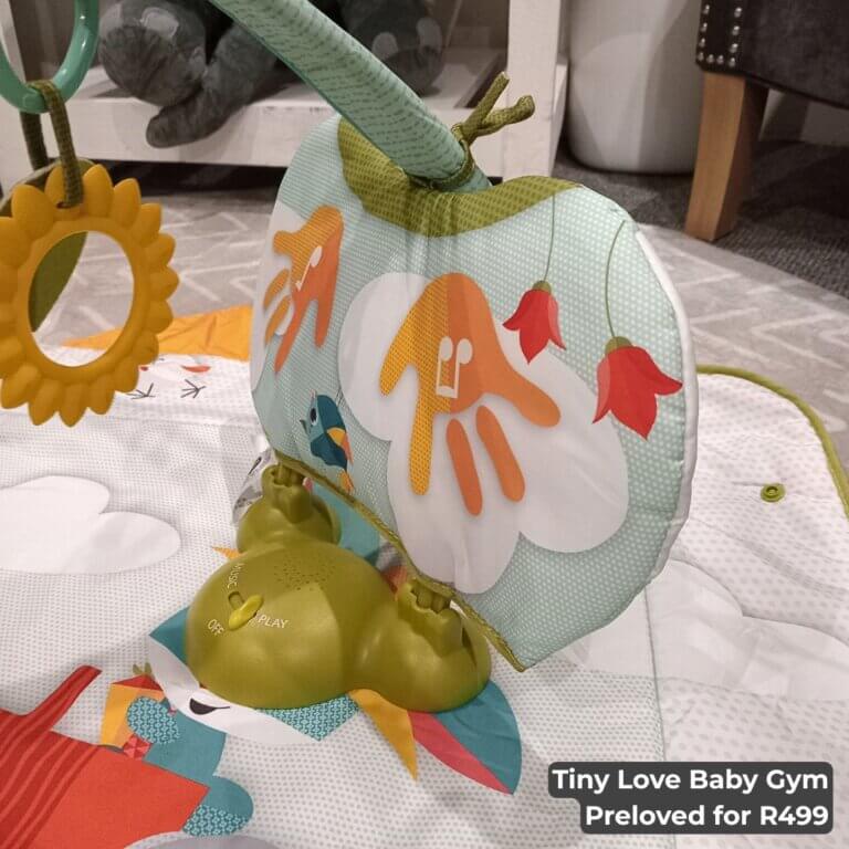Tiny Love Baby Gym